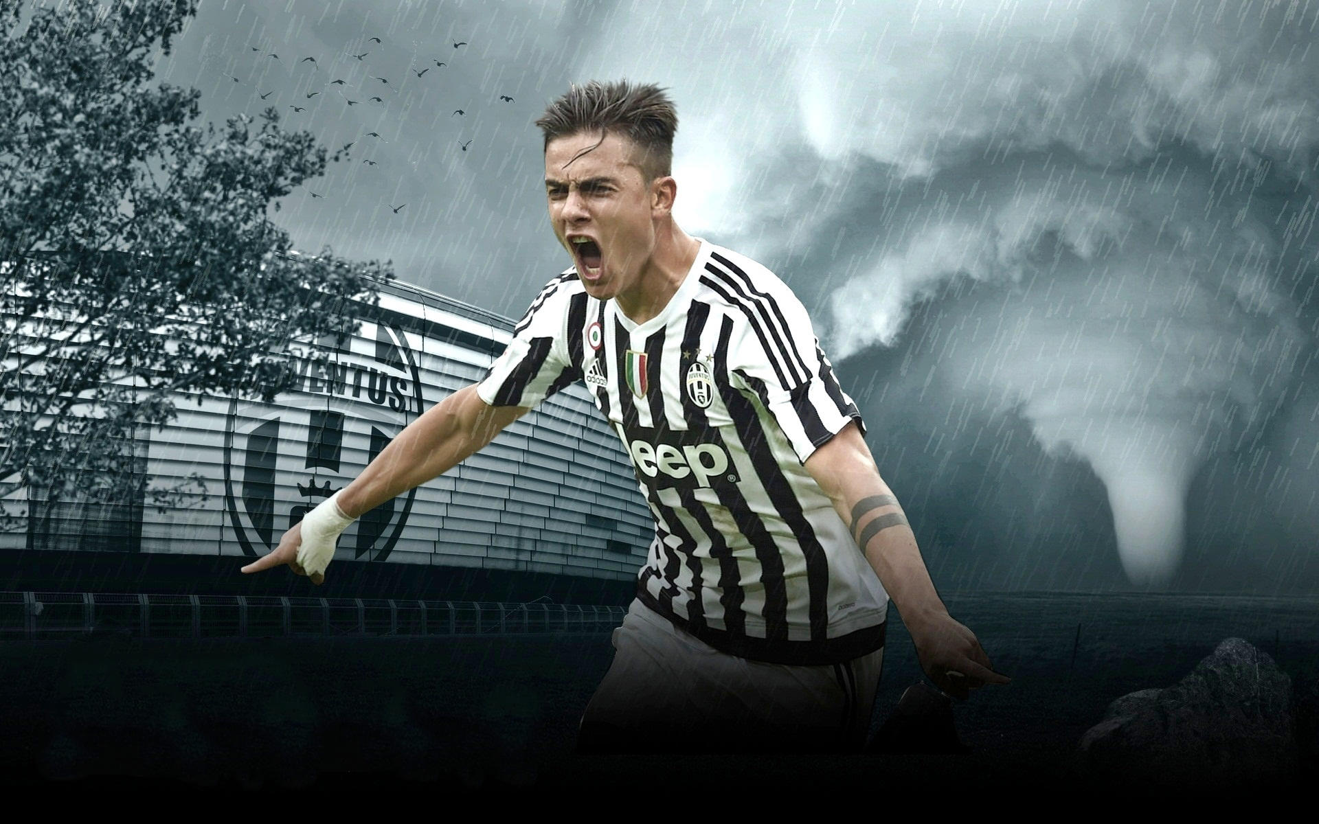 到协防的衔 到协防的衔